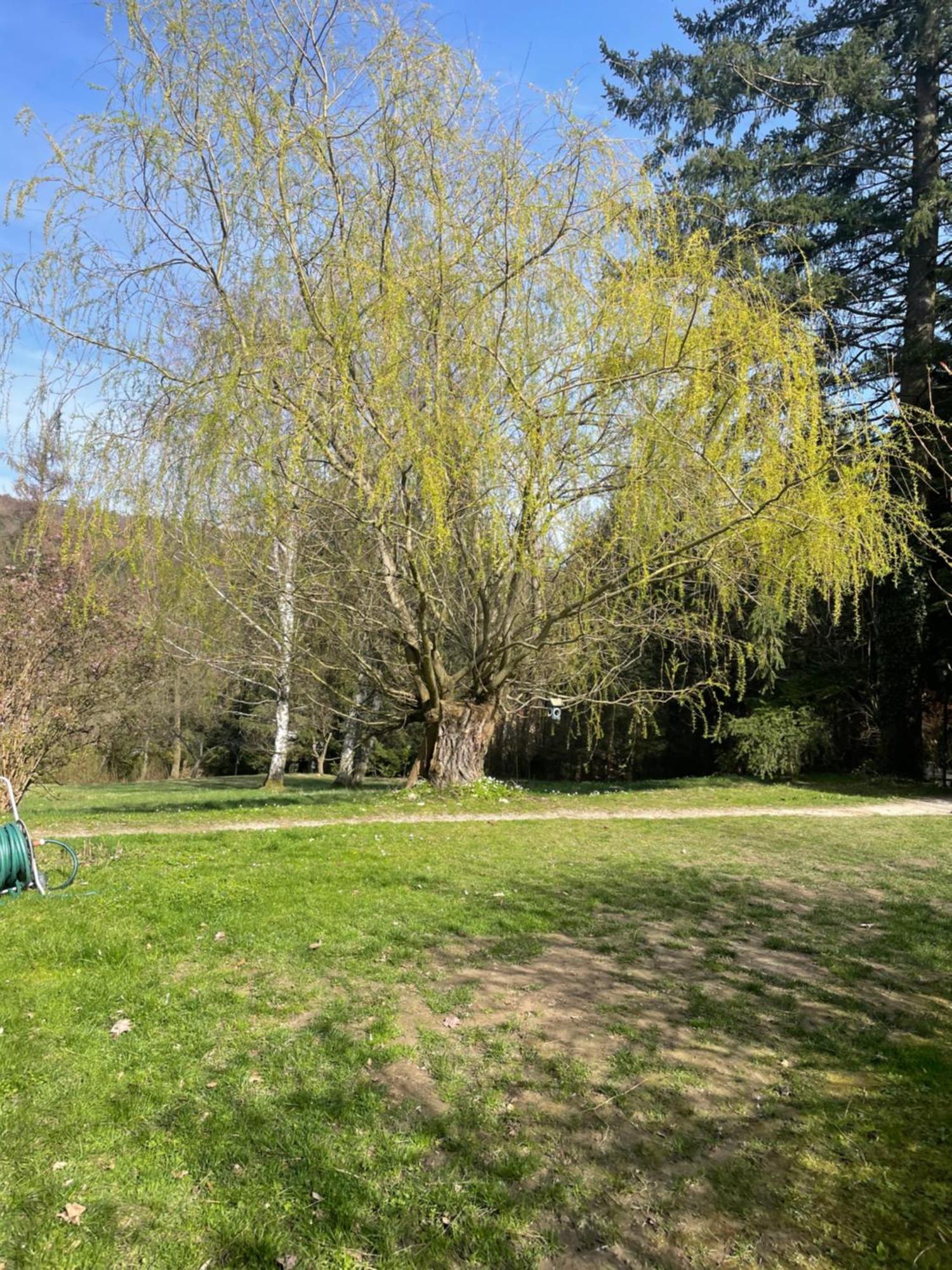 Bed&Breakfast Im Gruenen Nah An Wien Brettwies Eksteriør billede